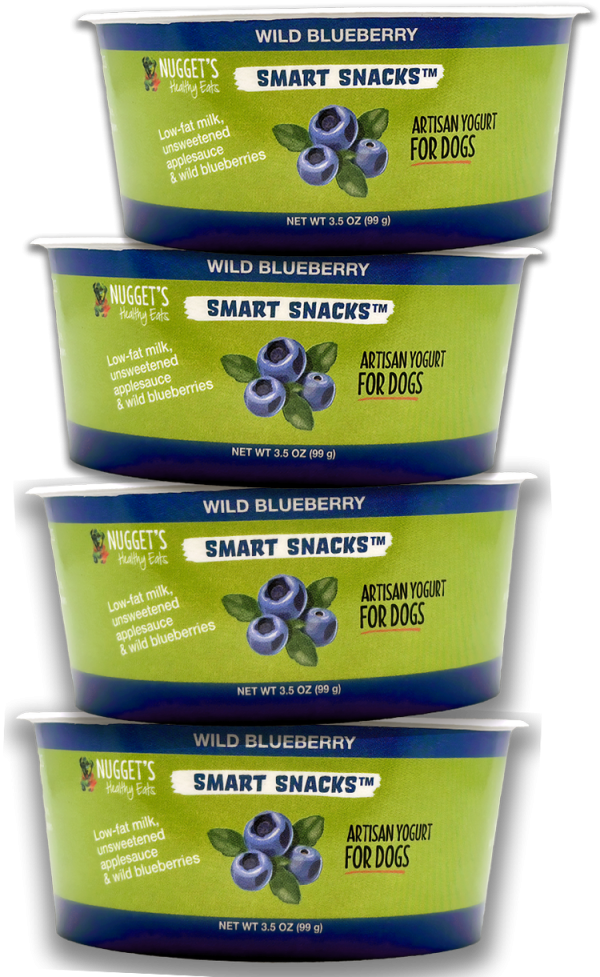 Nugget s - Frozen Smart Snack Artisan Yogurt Wild Blueberry Treat (Local Delivery Only) Sale