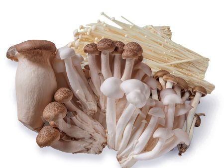 Mixed Mushroom (KingOyster Shimeji Enoki Brown Mushroom Shimeji) 400g Discount