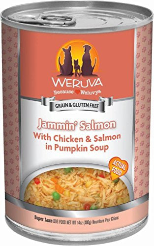 Weruva - Jammin  Salmon with Chicken & Salmon in Pumpkin Soup - Wet Dog Food - 14oz Online