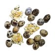 Savage Cat - Freeze-Dried Quail Eggs Cheap