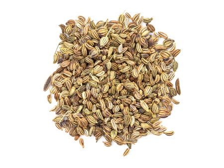 AJWAIN SEEDS BULK Online Hot Sale