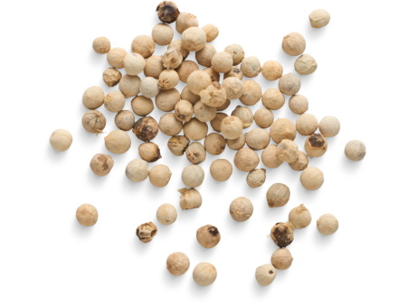 WHITE PEPPER WHOLE BULK Hot on Sale