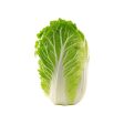 Chinese cabbage For Discount