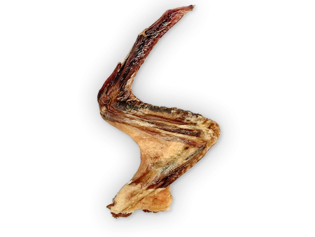 The Rabbit Tap - Dehydrated Duck Wing Online Hot Sale