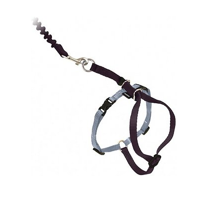 PetSafe - Come With Me Kitty Harness and Bungee Leash For Cheap