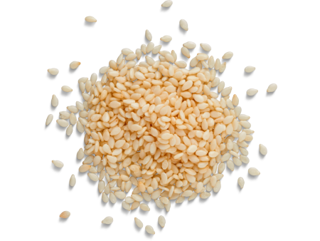 SESAME SEEDS WHITE BULK For Discount