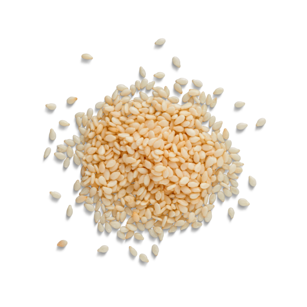 SESAME SEEDS WHITE BULK For Discount