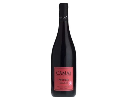 Camas Pinot Noir Sale