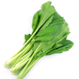 Choy Sum 500g Sale