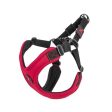 Gooby - Escape Free Sport Harness For Cheap