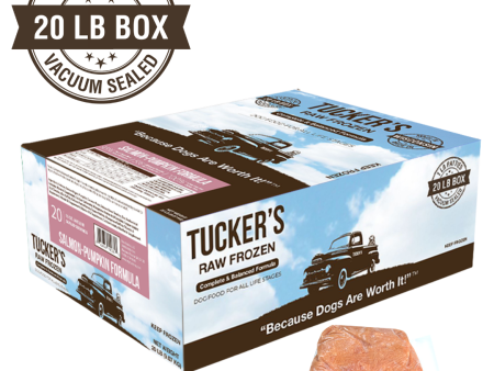 Tucker s - Salmon Pumpkin - Raw Dog Food - 20 lb (Local Delivery Only) Fashion