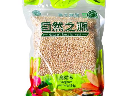 Sorghum NATURE S BEST HARVEST 454g Cheap