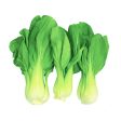 Shanghai Pak Choi 500g Online now