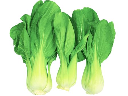 Shanghai Pak Choi 500g Online now