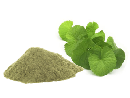 Brahmi Powder (Bacopa) Online Hot Sale