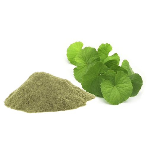 Brahmi Powder (Bacopa) Online Hot Sale