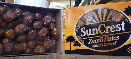 Zamli Dates Supply