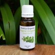 Organic Oregano Essential Oil 22ml Discount