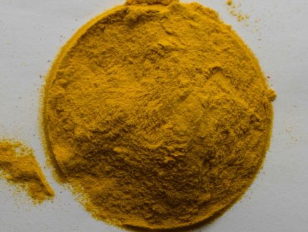 Turmeric Online now