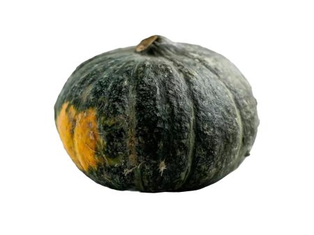 Green Pumpkin 1 pcs Hot on Sale