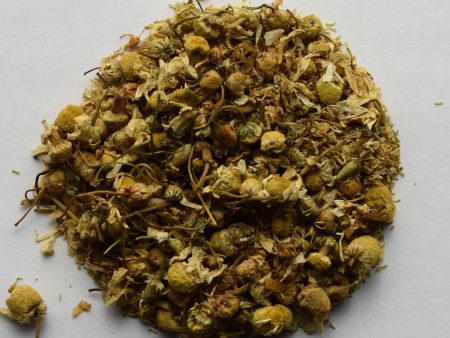 Sweet Chamomile, Organic For Discount