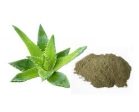 Aloe Vera Powder Hot on Sale