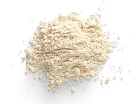 ONION POWDER BULK Cheap