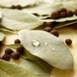 Bay Leaf Sale