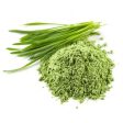 Wheatgrass Powder Online