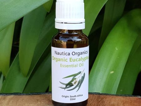 Organic Eucalyptus Oil 22ml Cheap