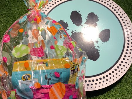 Easter Basket for Dog Cheap