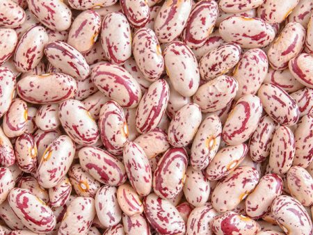 Red Speckled Beans For Sale