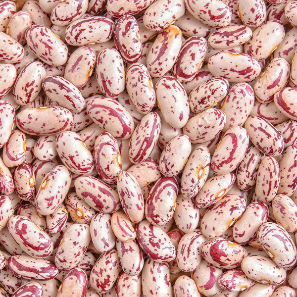 Red Speckled Beans For Sale