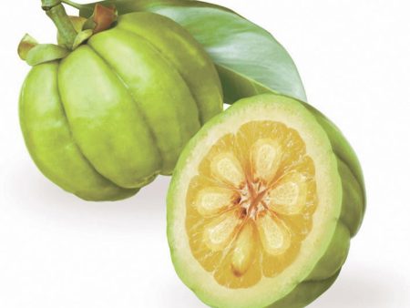 Vrikshamla Powder (Garcinia) Sale