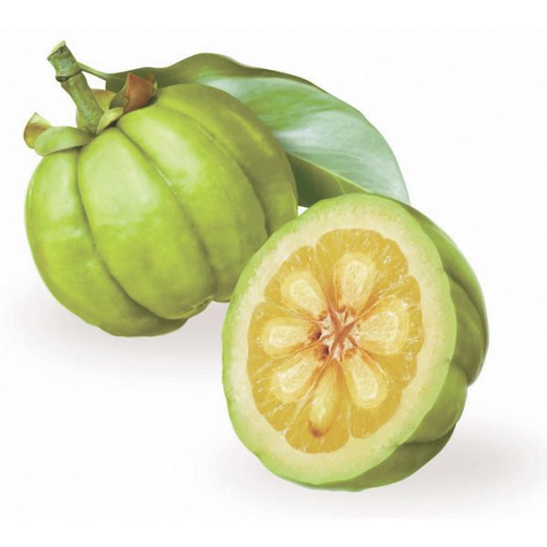 Vrikshamla Powder (Garcinia) Sale