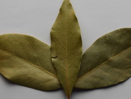 Bay Leaf Sale