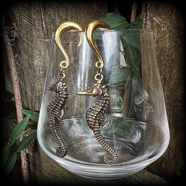 Seahorse ear weights-Gauged earrings Online now