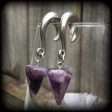 Amethyst gauged earrings Discount