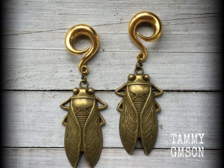 Bronze cicada earrings-Locust gauged earrings Sale