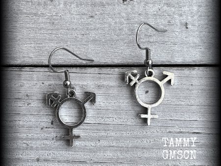 LGBTQ-Transgender symbol earrings Cheap