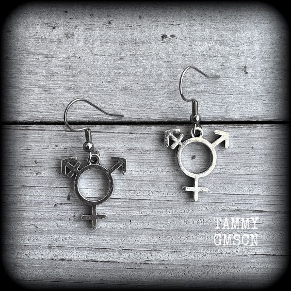 LGBTQ-Transgender symbol earrings Cheap