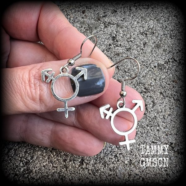 LGBTQ-Transgender symbol earrings Cheap