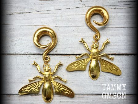 Wasp earrings-Insect gauged earrings For Sale