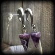 Amethyst gauged earrings Discount