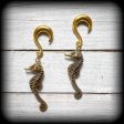 Seahorse ear weights-Gauged earrings Online now