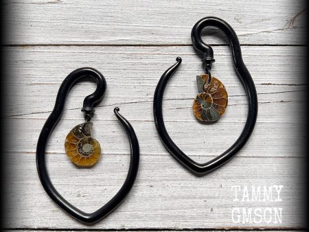 Ammonite fossil tear drop ear hangers-Fossil ear weights For Sale