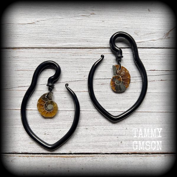 Ammonite fossil tear drop ear hangers-Fossil ear weights For Sale